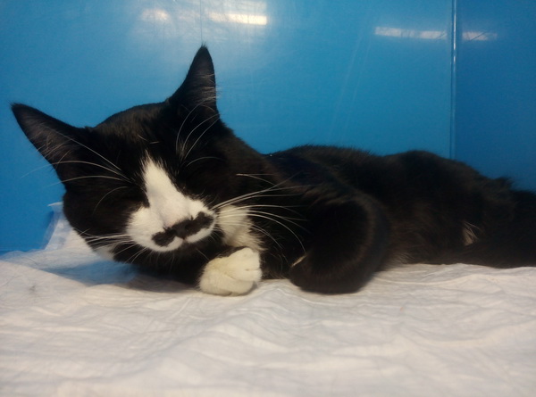 Послеоперационная боль