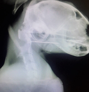 «Свой Доктор»,  филиал  Дзержинский, клинический случай