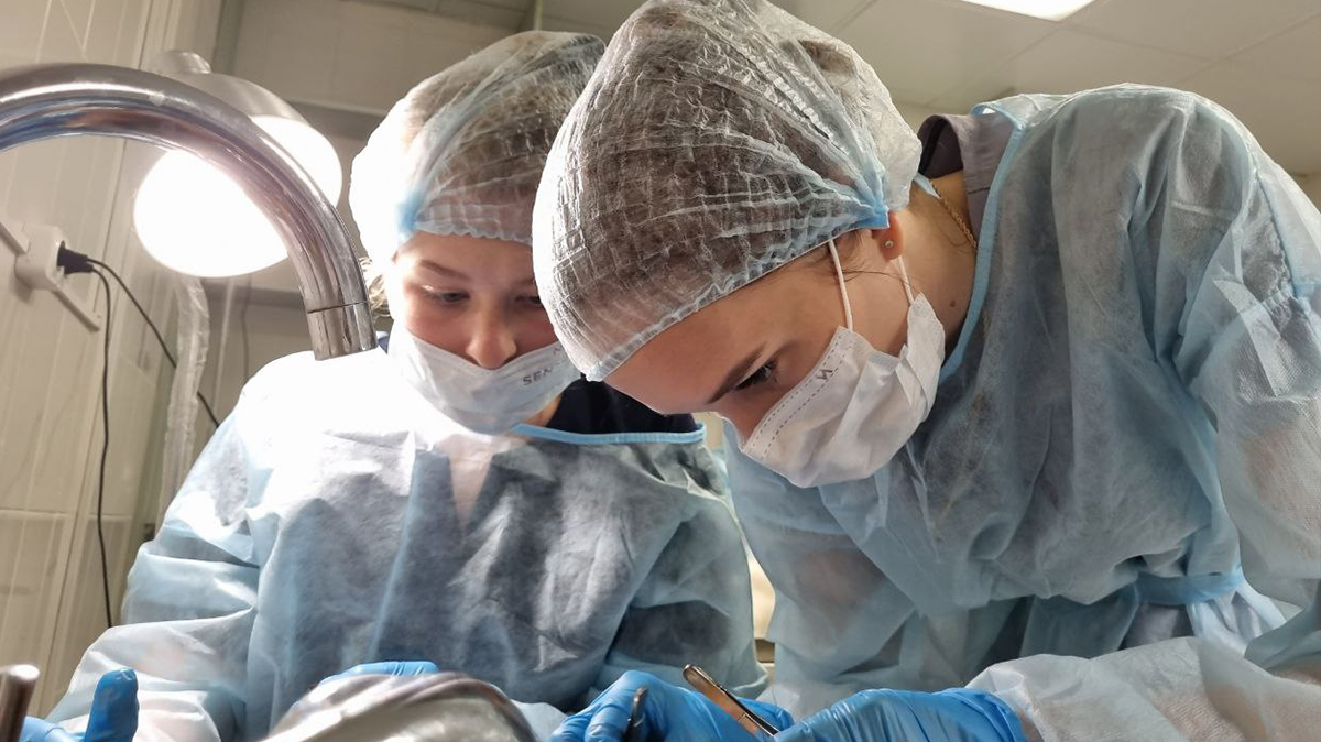 Приглашаем специалистов принять участие в образовательных программах, проводимых на базе ИВЦ МВА и Международной Ветеринарной Академии