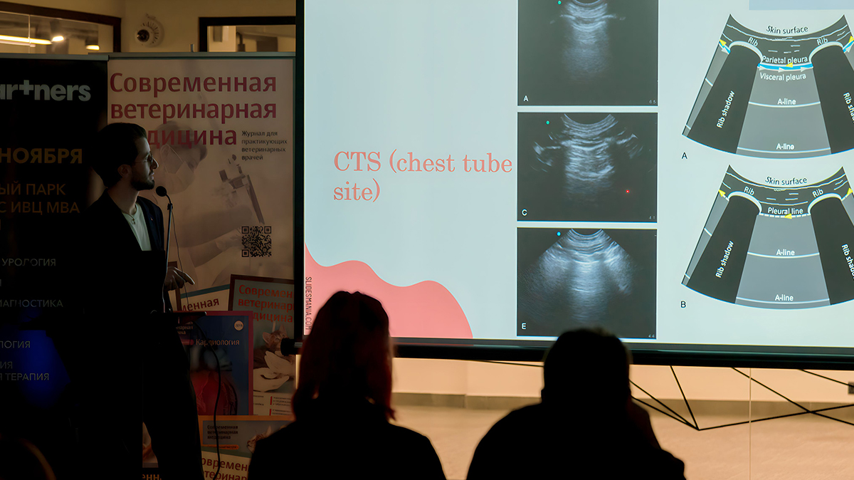 Конференции АНО ВО МВА