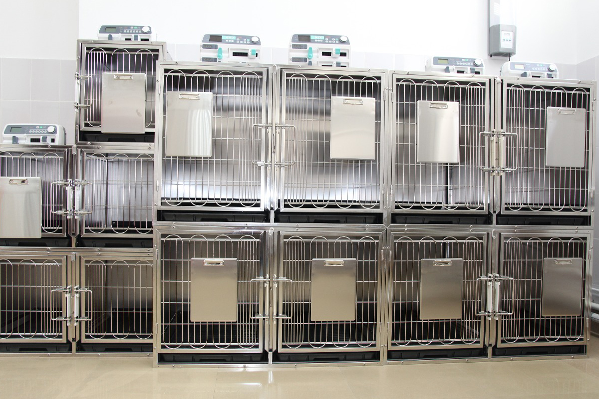 ОАРИТ — Филиал Уссурийск