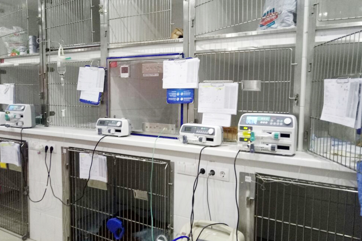 ОАРИТ — Филиал Уссурийск