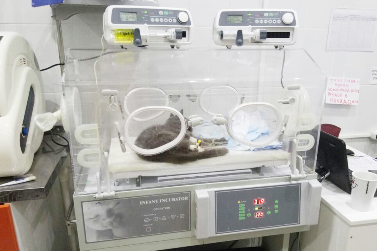 ОАРИТ — Филиал Уссурийск