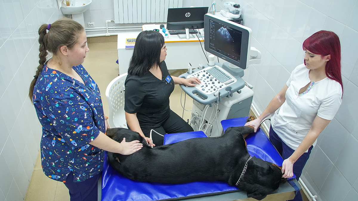 Терапевтическое отделение — Филиал Уссурийск