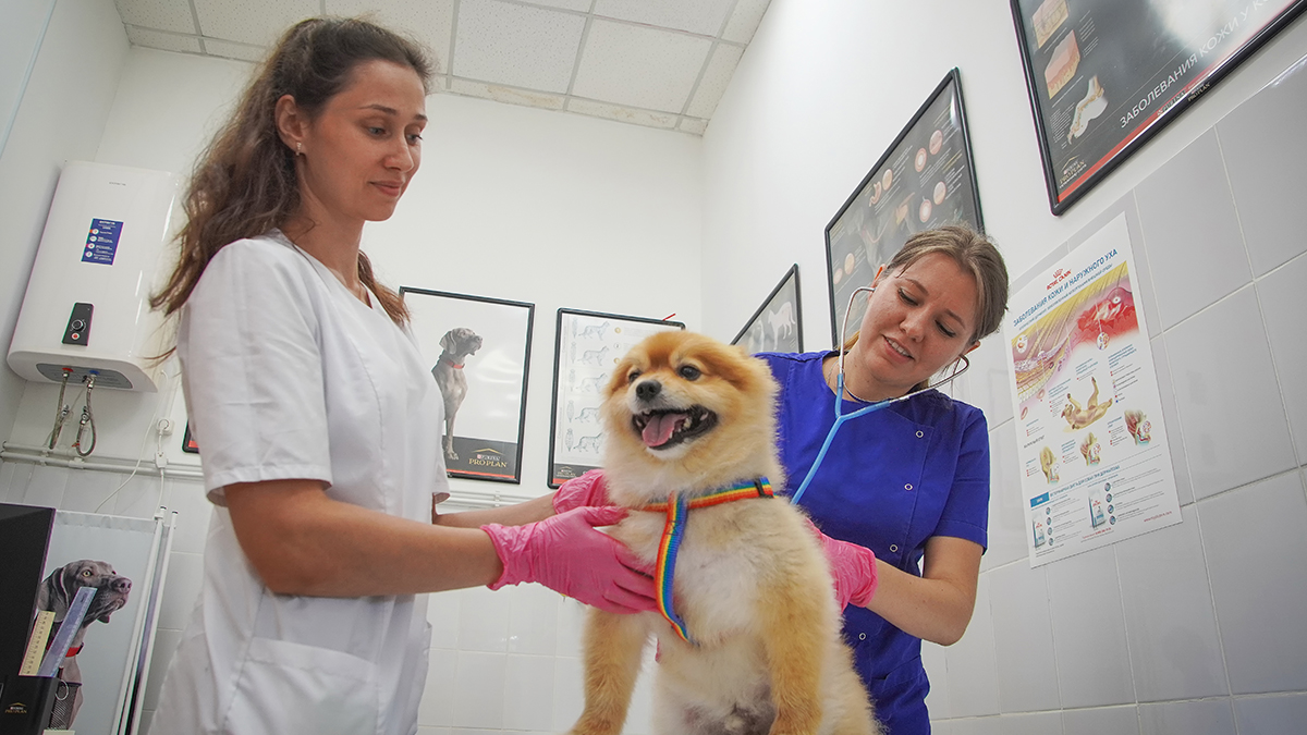 Терапевтическое отделение — Филиал Уссурийск