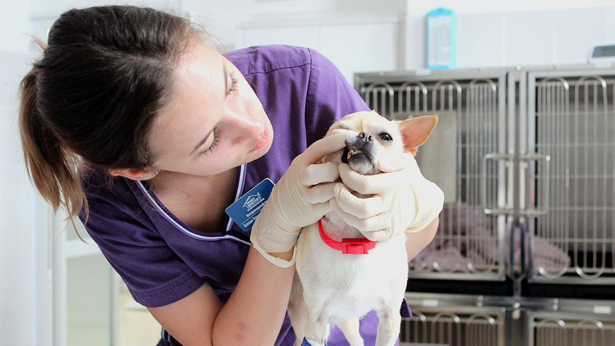 Терапевтическое отделение — Филиал Уссурийск